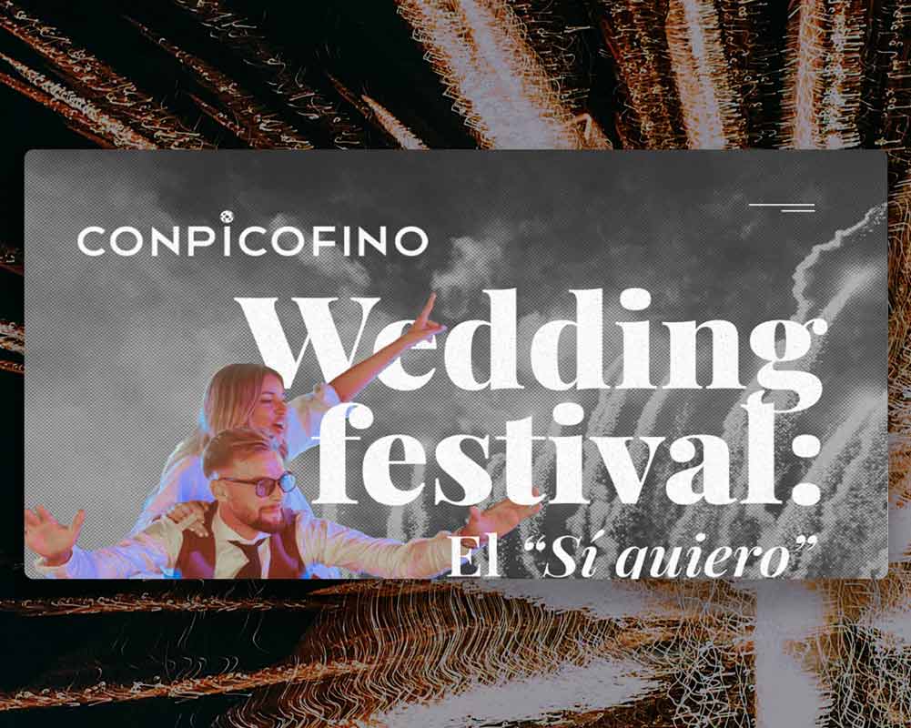 Desarrollo web profesional para conpicofino realizado por Alejandro Schintu